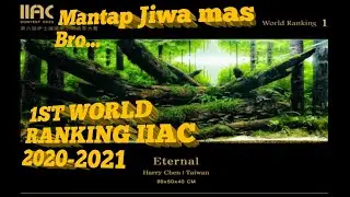 #15 IIAC 2021 | TOP100 WORLD RANK💥 | ISTA INTERNATIONAL AQUASCAPE CONTEST