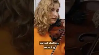 Does Music Affect Animal Behavior? #shorts