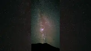 Google Pixel 6 Pro #shorts #shortvideo