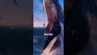 El cine m&aacute;s GRANDE y REALISTA del mundo