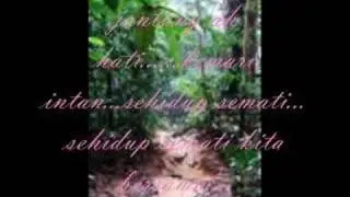 Siti Mariam-Gunung Panti(lagu asli)