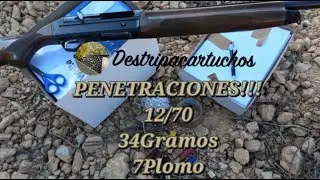 🎯PENETRACIONES 12/70 34 GRAMOS 7 PLOMO 🗺️Testing cartridges penetrations