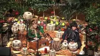 Tabla for Two Mercyhurst Concert Highlights