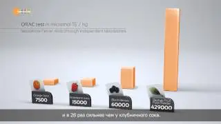 COLORS OF LIFE Gamme complete RUS