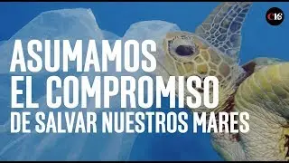 8 DE JUNIO: DÍA MUNDIAL DE LOS OCÉANOS