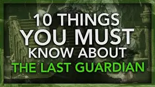 The Last Guardian - 10 Things You Must Know