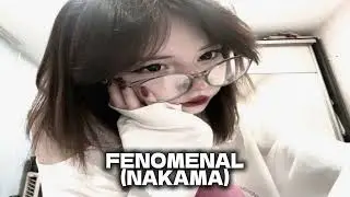 THE BEST PLAYLIST PHONK | PHONK PLAYLIST BEST