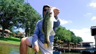 Catching bass on Logan Martin lake late July 2025