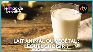 Le lait végétal est-il néfaste pour la santé ?