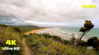Virtual Run 4K - Wild Beach Run - Scenery Tasmania - Virtual Running Video for Treadmill