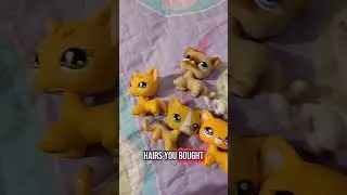 Lps shorthair cat #lps #littlestpetshop #lpsshorthaircat