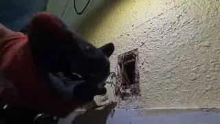 How to Replace a  Burned Outlet Safely