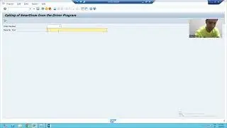 28 - Smartforms - Types of Text - Dynamic Text Part2