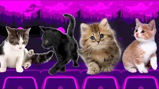 Cute cats | Tiles Hop | Tiles Hop edm rush