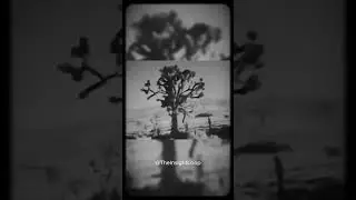 A Hidden Site In Arizona #coldwarsecrets #ytshorts
