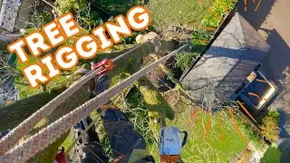 Don't Hit The Roof! Tree Rigging Dismantle