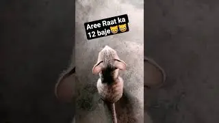 #comedy#funny#cat#catshorts#catvideos#catlover#cutecat#funnycats#kitten#pets#animal