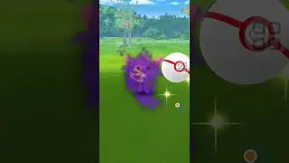Shiny Shadow Aipom/l'aipom d&rsquo;ombre shiny!
