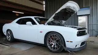 2016 Challenger with a Cold Air Intake, Exhaust, Throttle Body, and SHP Custom Tune.