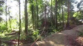 How to pull a Dead Tree down with a rope