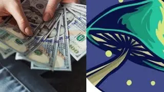 How to buy Spore Finance