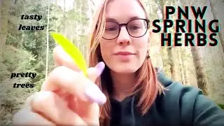 Pacific Northwest Early Spring Forest Herb Walk (Edible Plants!)