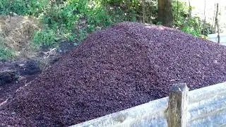 Tratamiento de aguas mieles