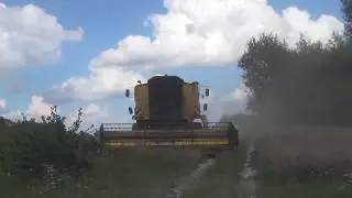 Czy zdążymy przed deszczem? Żniwa 2018☆ Pszenica☆ New Holland TX 34
