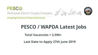 WAPDA / PESCO Jobs 2019 for 3596+ Lineman, Bill Distributors, Jr Engineers, Revenue Officers & Other