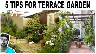 How to make a beautiful terrace gardening ? Full explained | Lingesh Ashwin | architecture Tamil