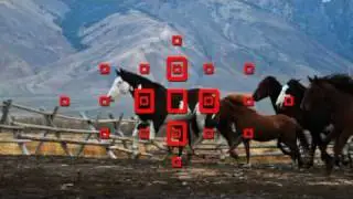 Canon EOS 7D - A day in life, featuring David Stoecklein - Autofocus System 4/9