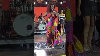 #loba #alcione #samba #cantora #cover #musica #vibempb #music