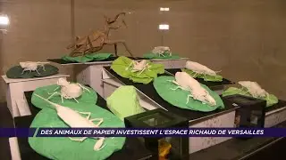 Des animaux de papier investissent l’Espace Richaud de Versailles