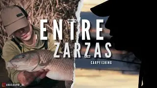 ENTRE ZARZAS | CARPFISHING