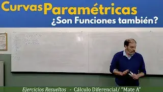 Curvas Parametricas, ¿son funciones tambien?