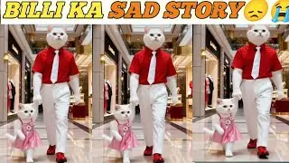 Billi Ka Sad Video | Billi Ka Sad Story | Sad Story | Animal Cat Ki Kahani | Animal Video | Amazing😞