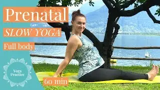 Slow Prenatal YOGA Full Body | 60 min
