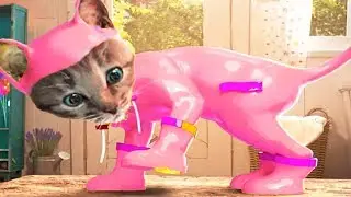 Fun Pet Animals Care Kids Games - Little Kitten Adventure - Kids Learn Colors,Puzzles,  Mini Games