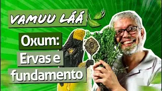 Vamuu láá - Oxum: Ervas e fundamento | Ep. 289 Diário do Médium