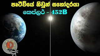 කවුද මේ පෘථිවියේ නිවුන් සහෝදරයා? - MindSpot