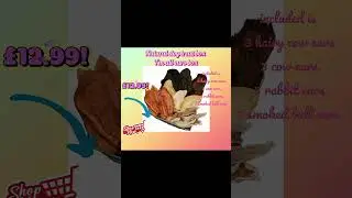 Natural dog treats box for just 12.99! #dogtreats #naturaldogtreats #dogfood
