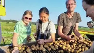 Die SoLawi Hof EmsAuen ist ein Bioland-Hof mit solidarischer Landwirtschaft im n&ouml;rdlichen Emsland