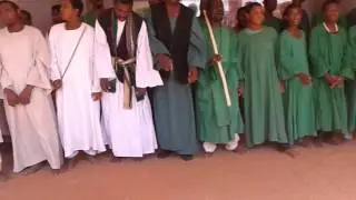 الضحوي