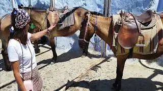 Santorini: Cable Car - Alter Hafen - Esel - Laufweg (Juli 2022)