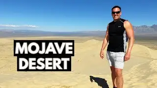 Mojave National Preserve - Sand Dunes and Lava Tubes (Vlog)