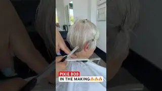PIXIE BOB IN THE MAKING BY VIVYAN HERMUZ! 🤩✂️🏆✨#haircut #hairstyle #pixiecut #pixiebobhaircut #top