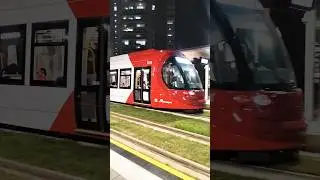 Parramatta Lightrail ❤️ L4 services #australia #lightrail #shorts #transport