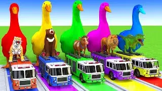 5 GIANT DUCKS and Friends Cross the Famous Fountain in EPIC Animation #028