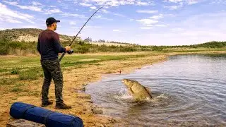 Pure Solitude: Silent Fishing at Lake | Water Sounds (No Music, No Talking)