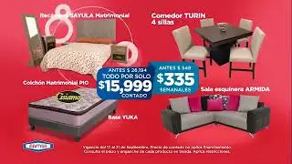 Famsa muebles (CMCA)2019